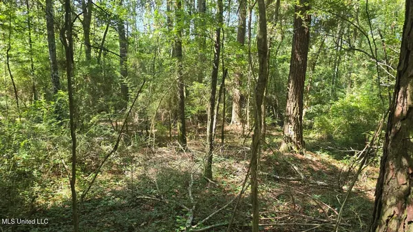 $60,000 | 397 West Oakvale Road, Mount Olive, MS 39119