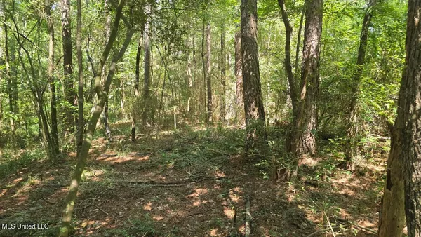 $60,000 | 397 West Oakvale Road, Mount Olive, MS 39119