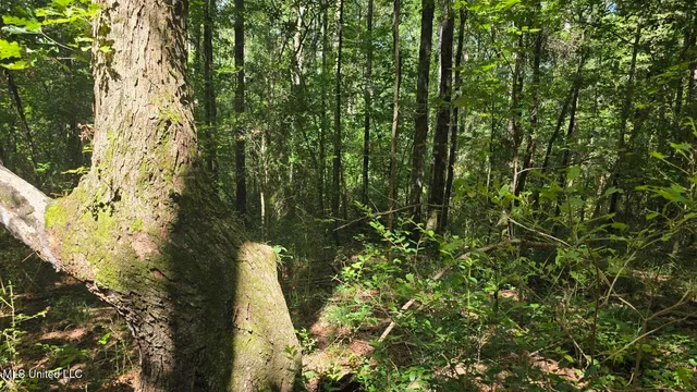 $60,000 | 397 West Oakvale Road, Mount Olive, MS 39119