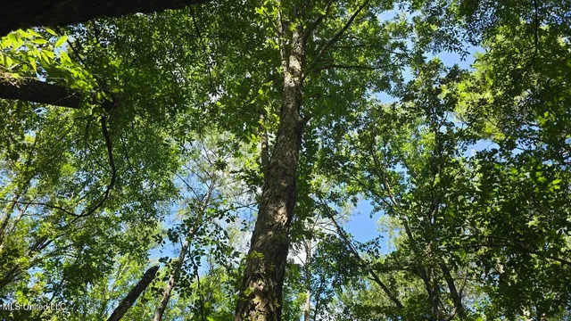 $60,000 | 397 West Oakvale Road, Mount Olive, MS 39119