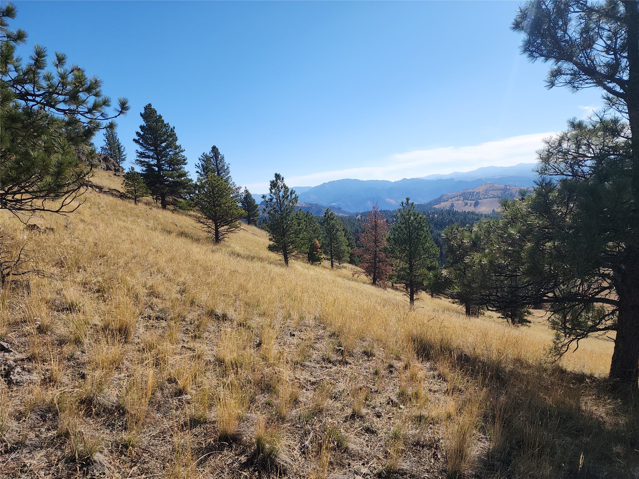 90 Hideaway Lane Cascade, MT 59421 - Photo 14 of 16 Gallery Image 14