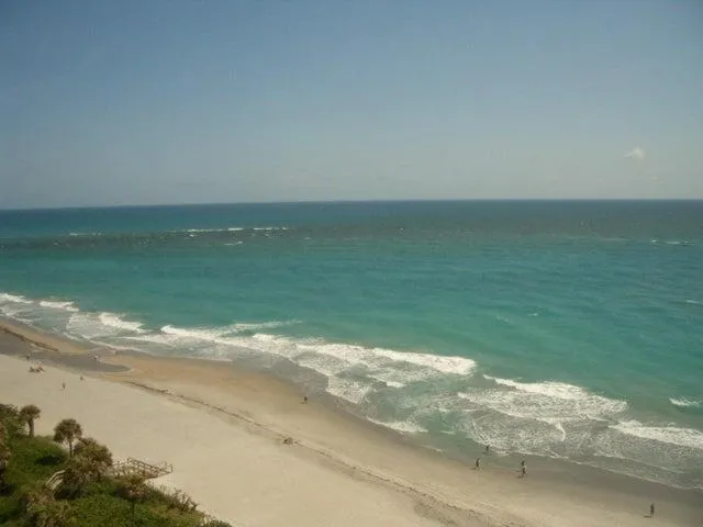 a view of a beach with an ocean view