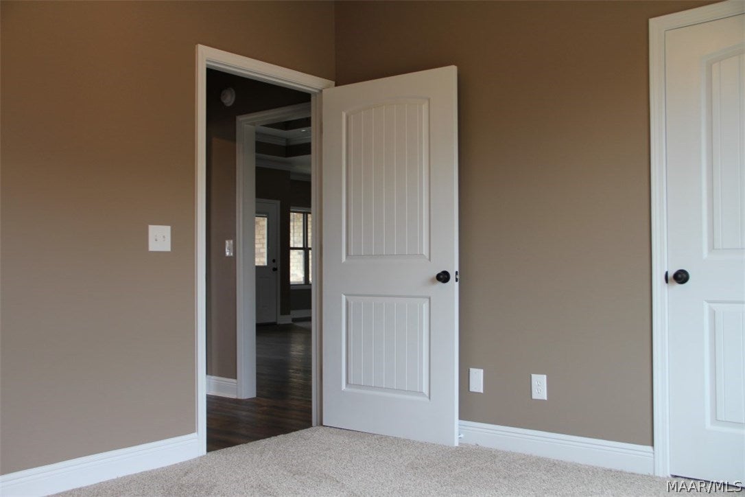 441 Sandbed Road Newton, AL 36352 - Photo 19 of 40 Gallery Image 19
