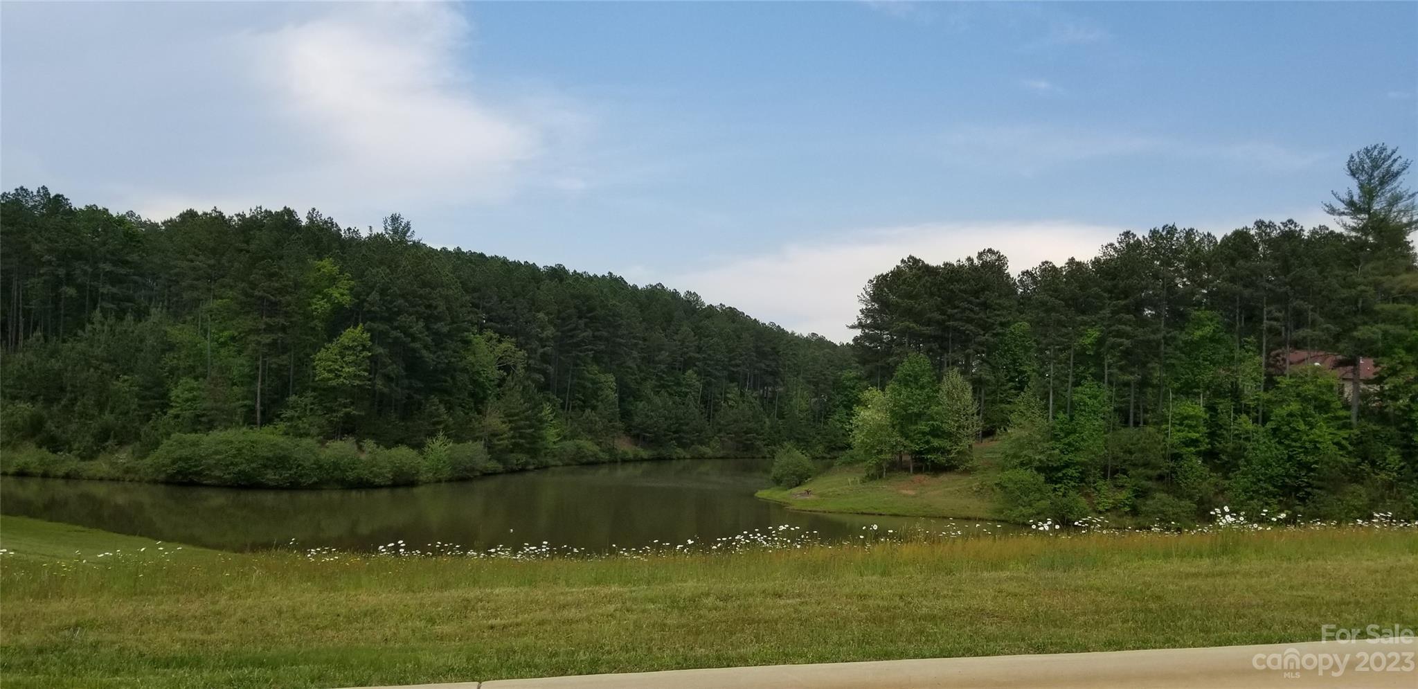 Tbd Greens Road Granite Falls, NC 28630 - Photo 3 of 4 Gallery Image 3