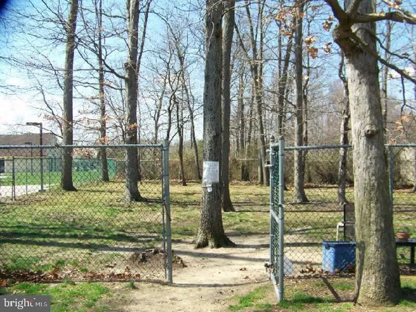a view of a park that has large trees