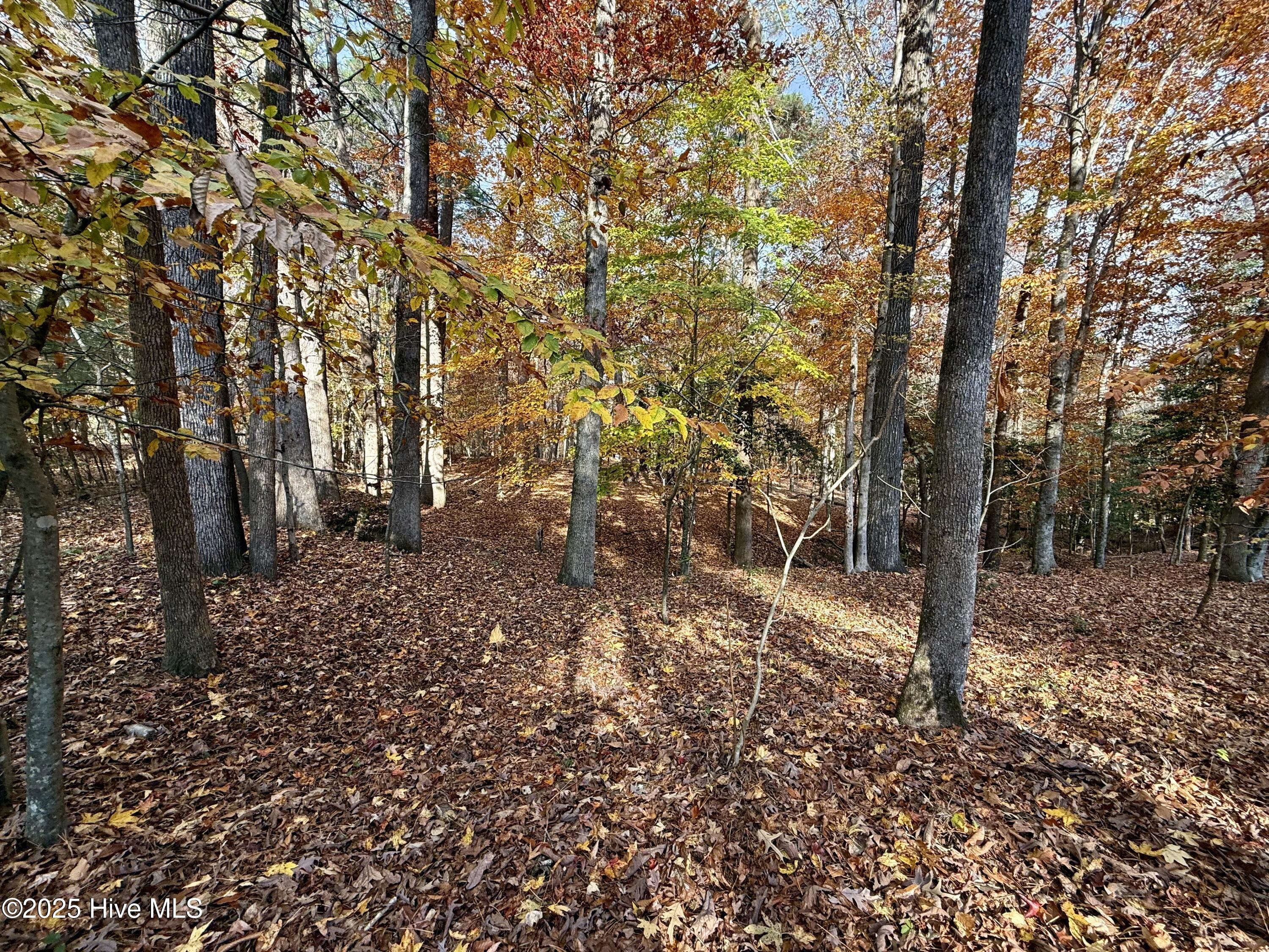 0 Williams Road Williamston, NC 27892 - Photo 10 of 16 Beautiful