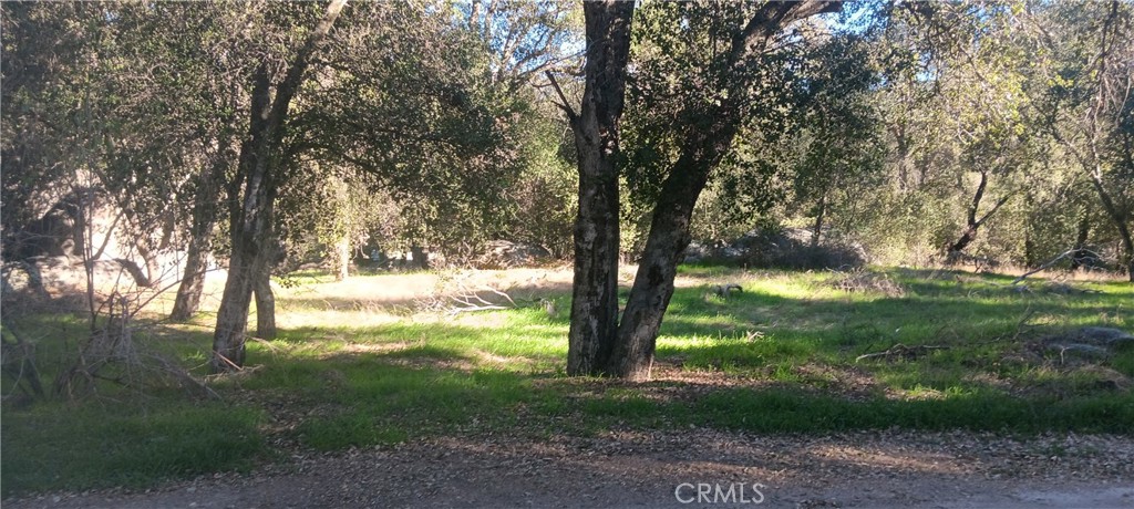 18635 Keyes Drive Banning, CA 92220 - Photo 3 of 6 a view of outdoor space and yard