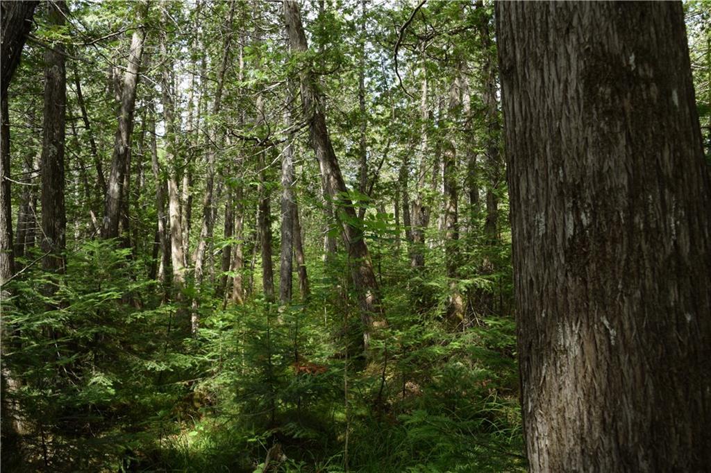 0 Jemtland Road Caribou, ME 04736 - Photo 11 of 17 Land