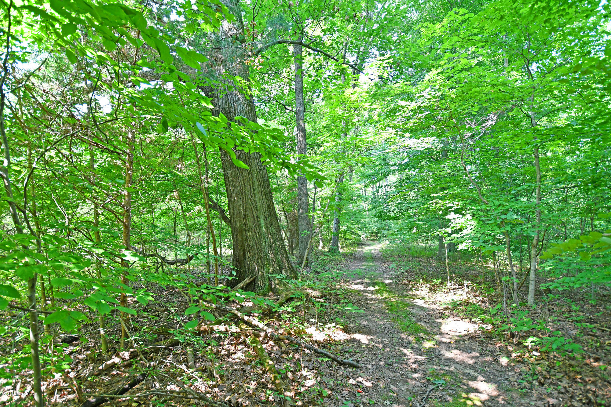 8120 Routt Road Louisville, KY 40299 - Photo 4 of 4 DSC_1246