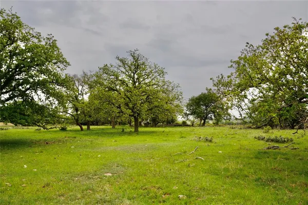 a view of a grassy field with trees