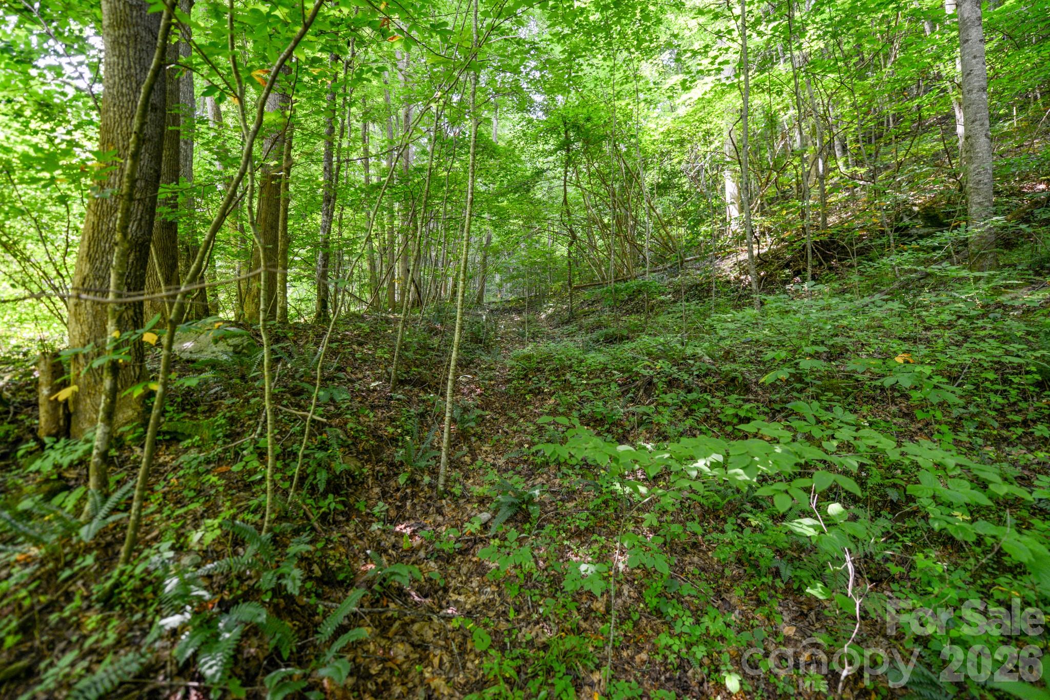 ### Board Tree Road, Unit 2 Marshall, NC 28753 - Photo 6 of 18