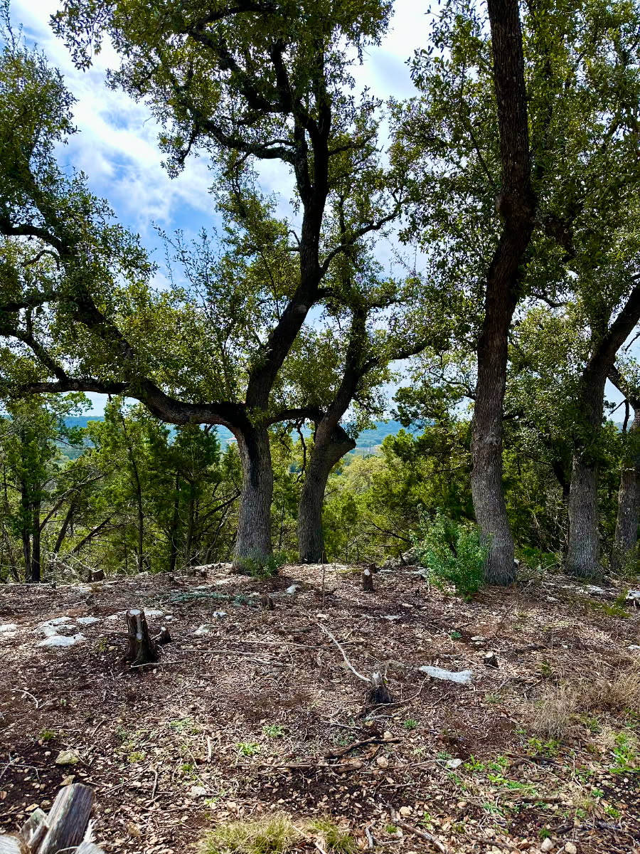 795 Cimarron Spring Branch, TX 78070 - Photo 2 of 6