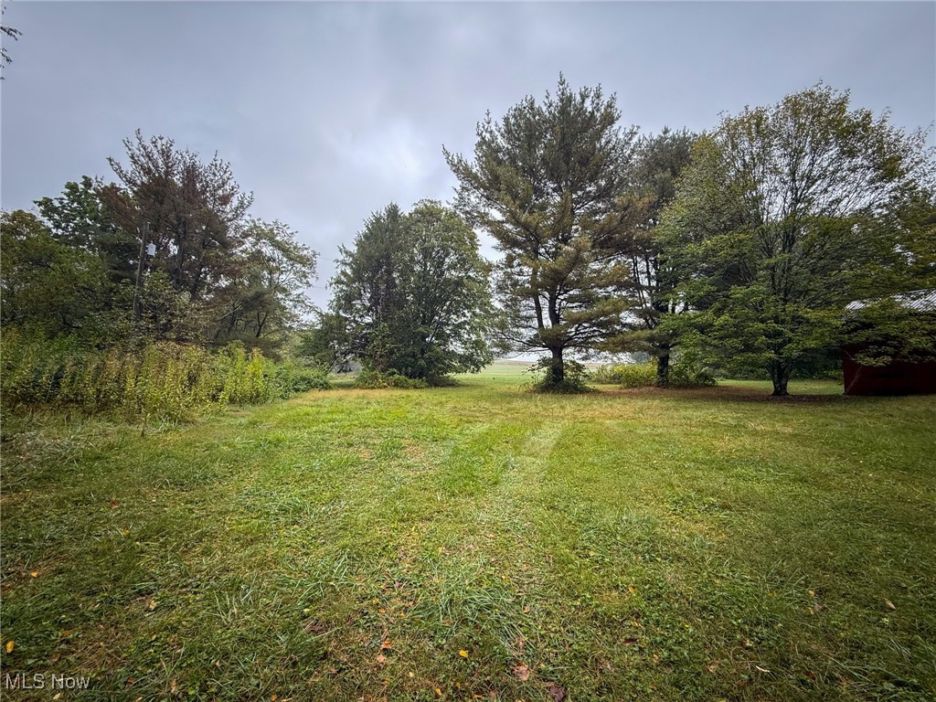 11 County Road Dillonvale, OH 43917 - Photo 1 of 9 View of grassy yard