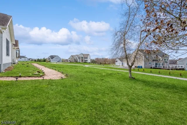 a view of a park with large trees