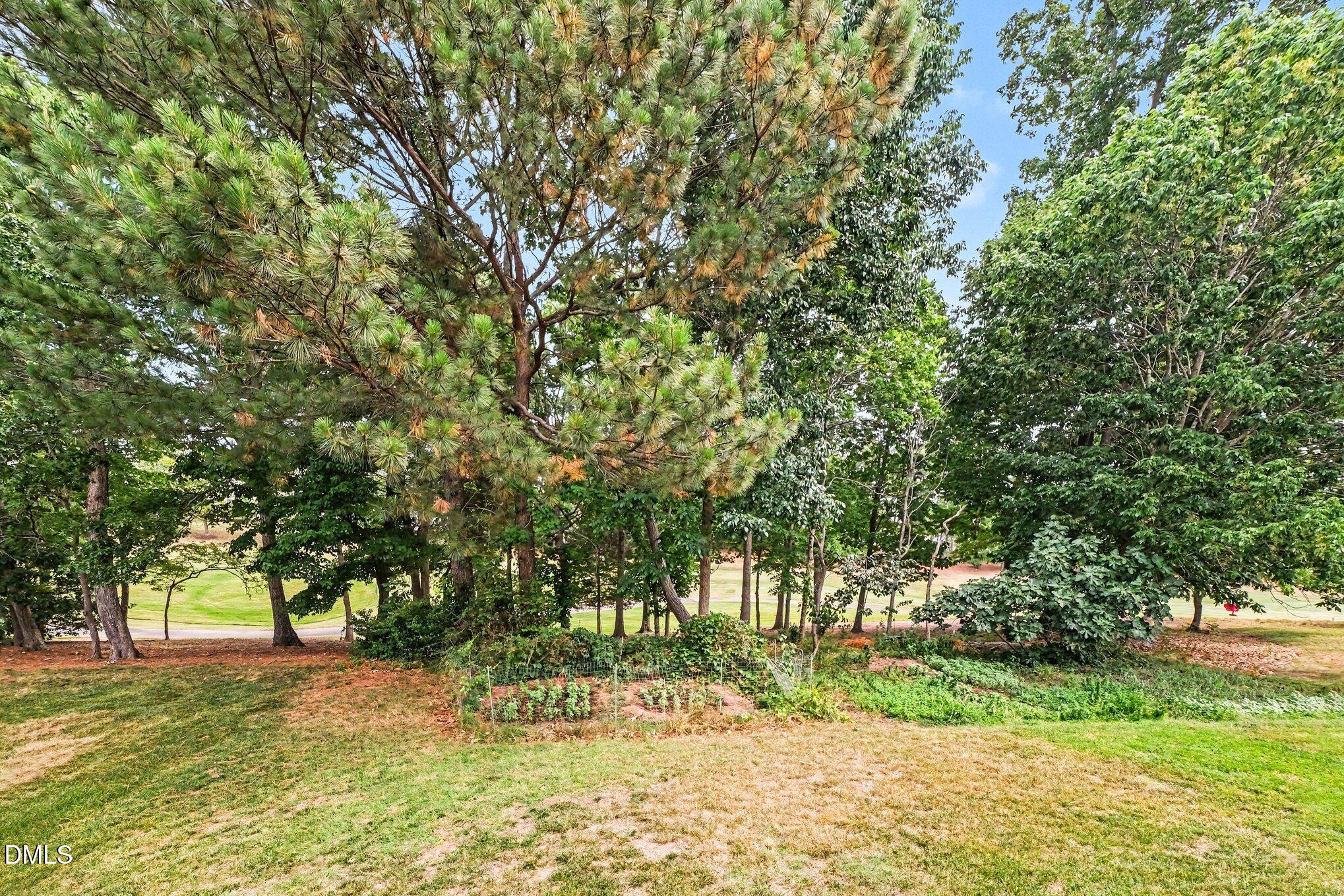 9212 Meadow Mist Court Raleigh, NC 27617 - Photo 27 of 27