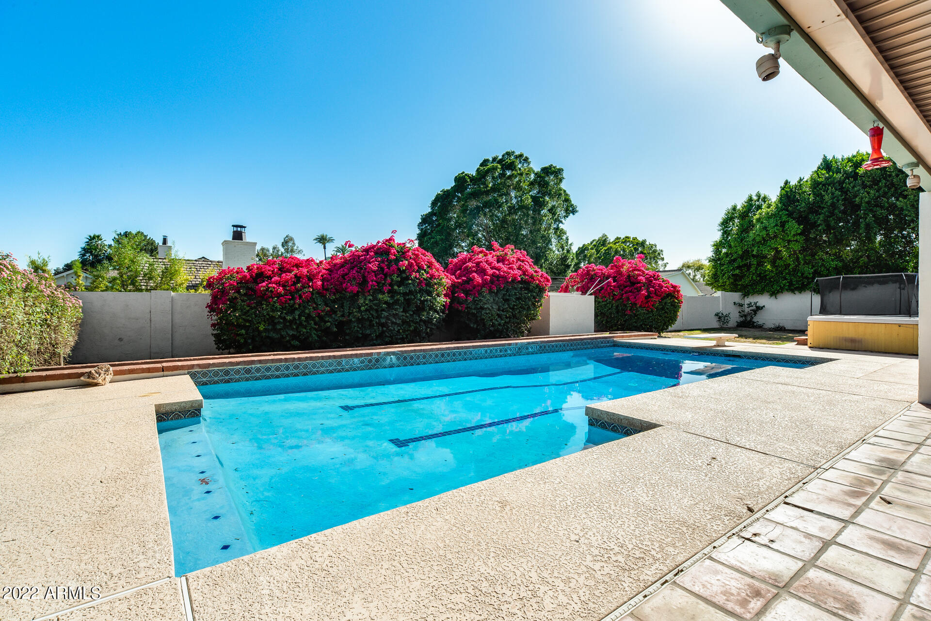 5501 East Camelback Road Phoenix, AZ 85018 - Photo 48 of 53 a view of a garden with flowers
