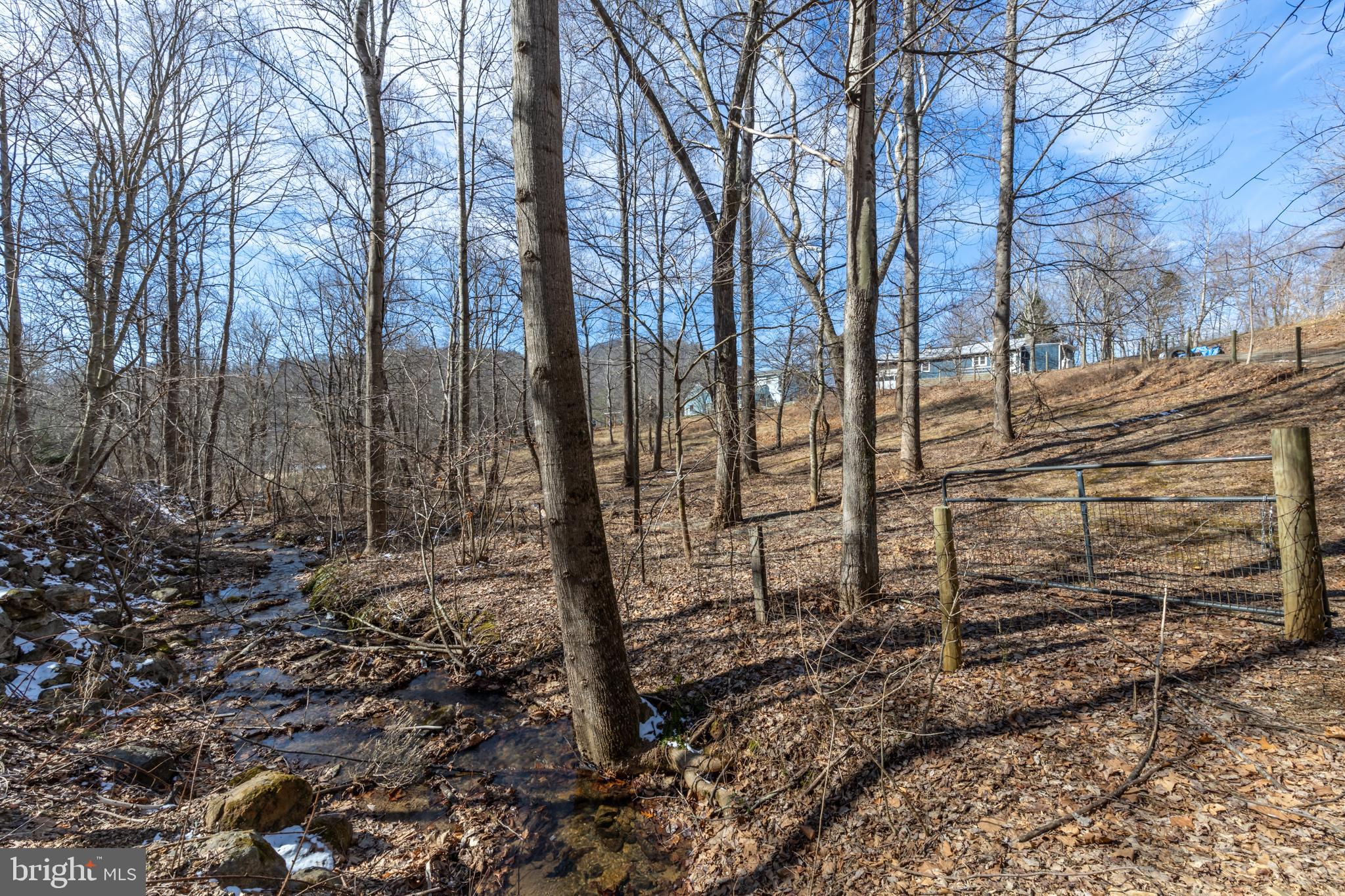 165 Brokenback Mountain Road Free Union, VA 22940 - Photo 16 of 71 a backyard of a house with lots of green space