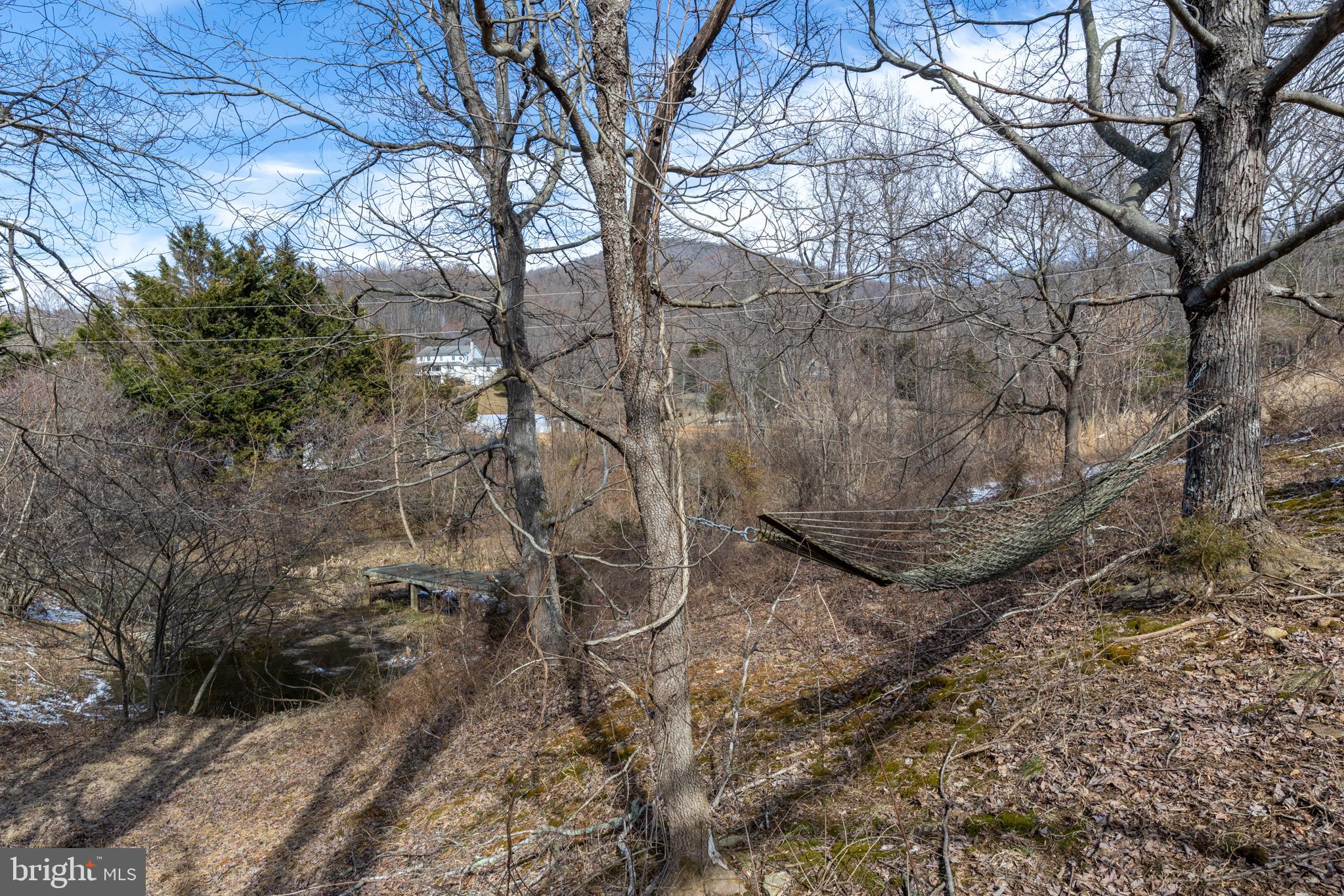 165 Brokenback Mountain Road Free Union, VA 22940 - Photo 24 of 71