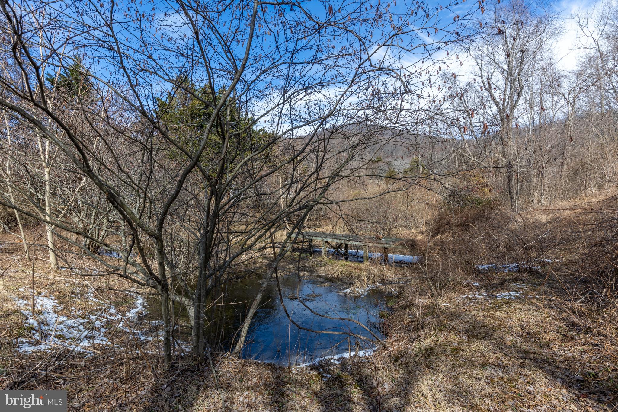 165 Brokenback Mountain Road Free Union, VA 22940 - Photo 25 of 71 a view of yard