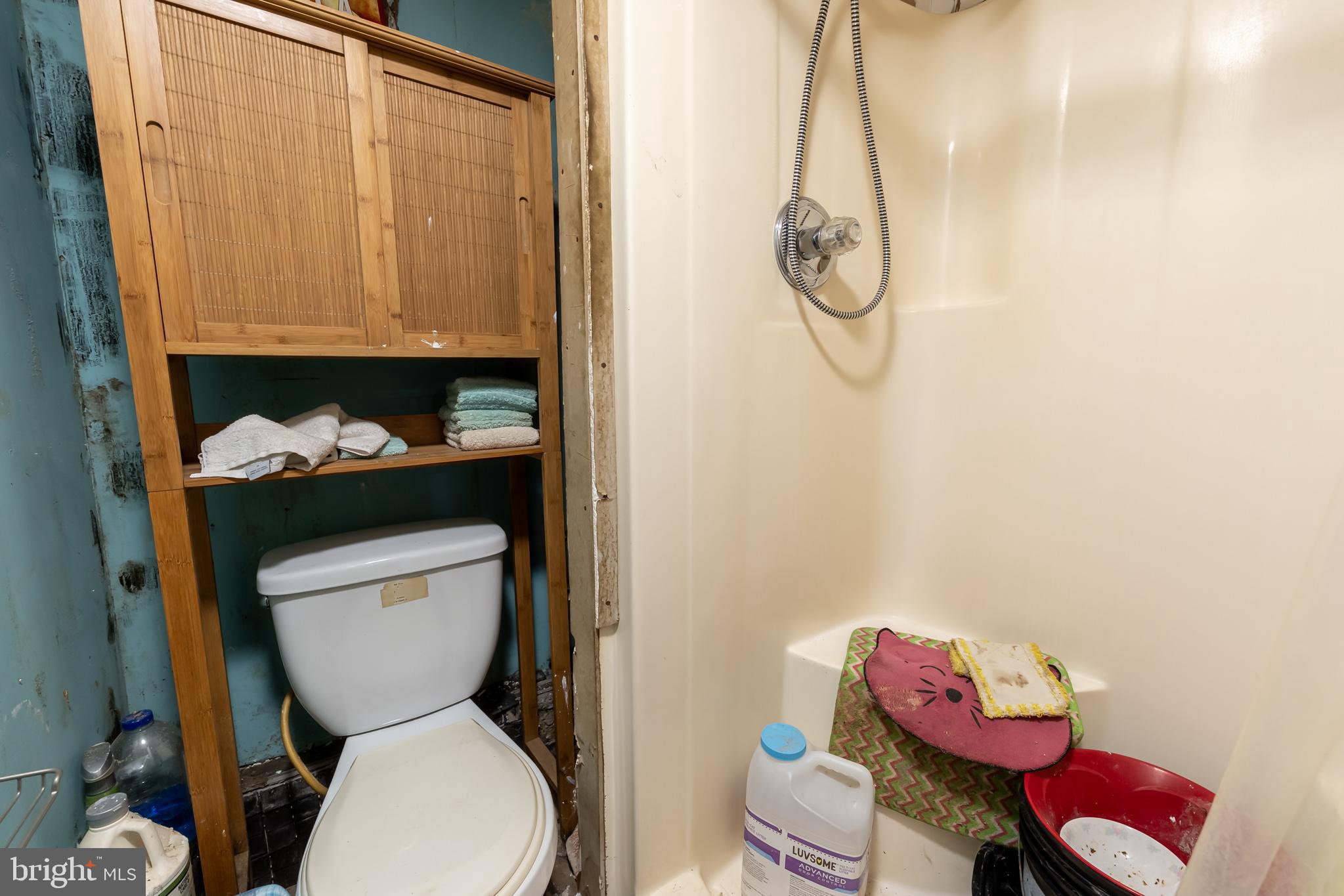 165 Brokenback Mountain Road Free Union, VA 22940 - Photo 70 of 71 a bathroom with a toilet sink and tub