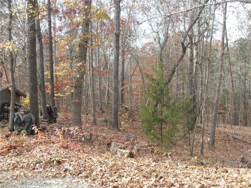 338 Fox Run View Lane Trinity, NC 27370 - Photo 18 of 21 Gallery Image 18