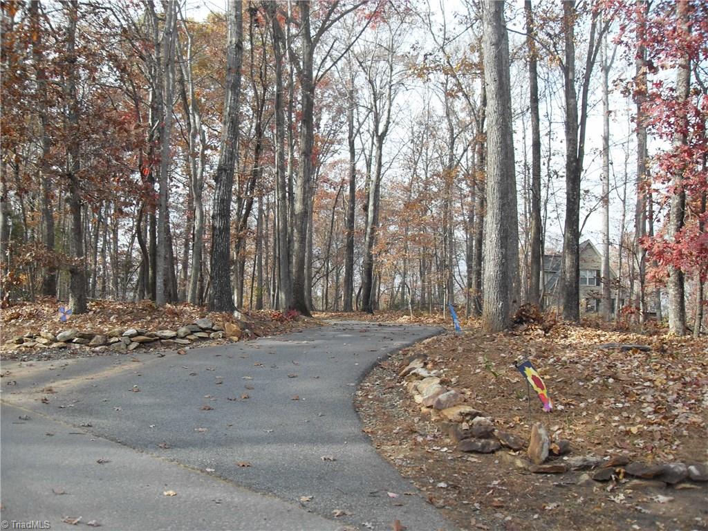 338 Fox Run View Lane Trinity, NC 27370 - Photo 19 of 21 Paved & gravel drive leads to home