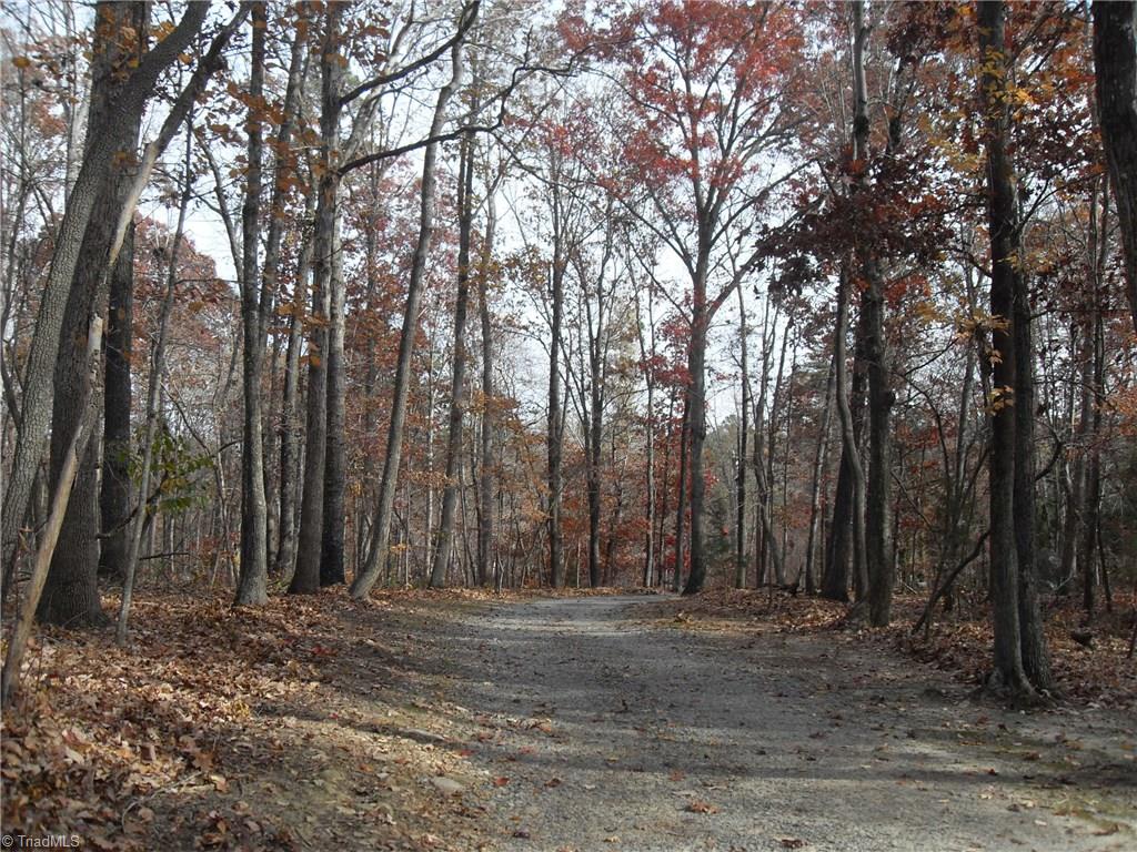 338 Fox Run View Lane Trinity, NC 27370 - Photo 20 of 21 A story book driveway leads to the home.