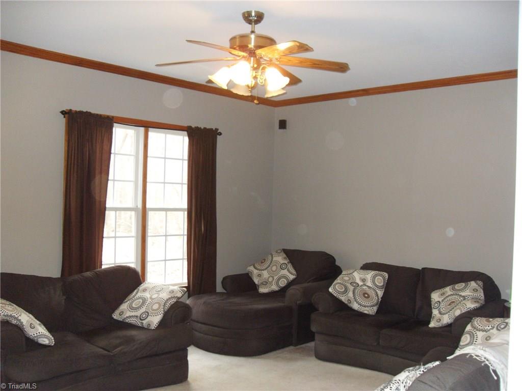 338 Fox Run View Lane Trinity, NC 27370 - Photo 7 of 21 Roomy living room with great natural light