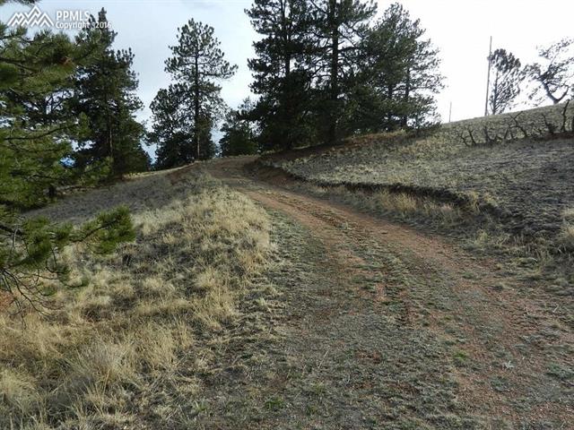 918 Old Ranch Road Florissant, CO 80816 - Photo 13 of 13 Gallery Image 13