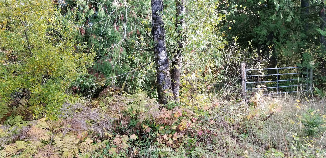 197 South Hawkins Road Winlock, WA 98596 - Photo 1 of 3