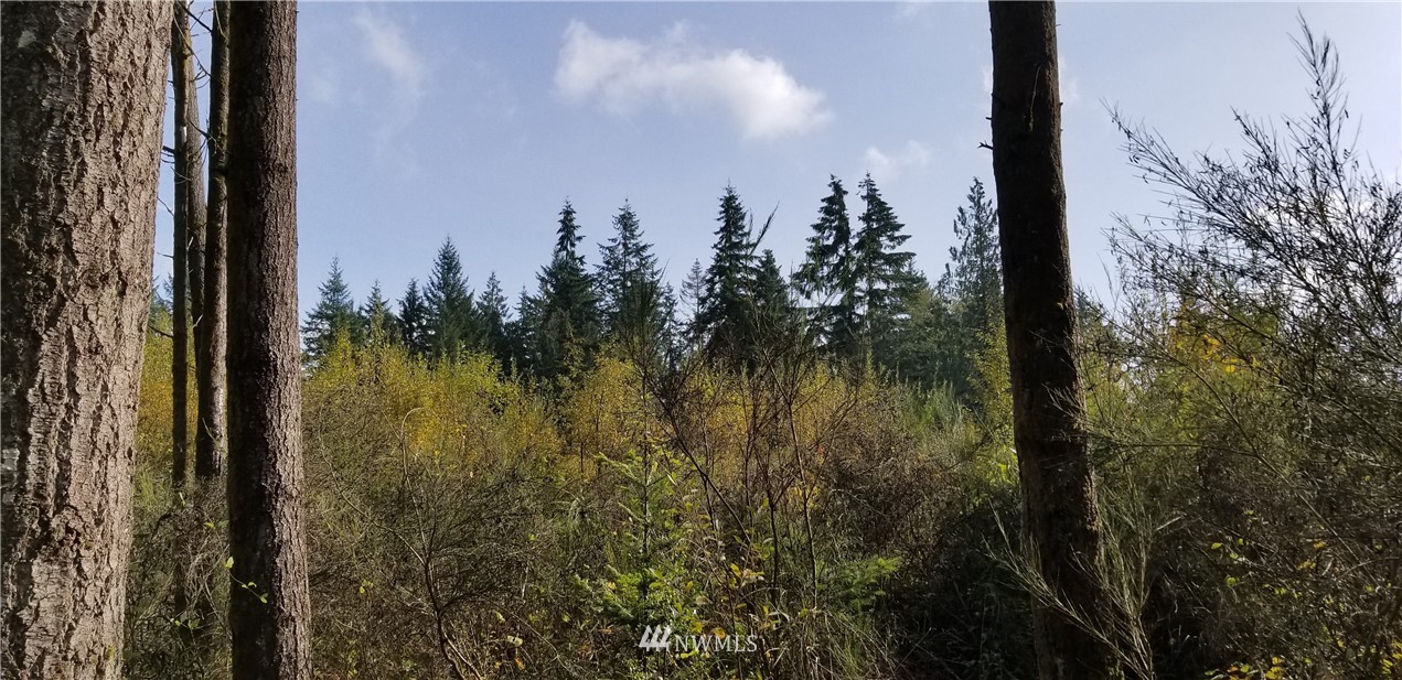197 South Hawkins Road Winlock, WA 98596 - Photo 2 of 3