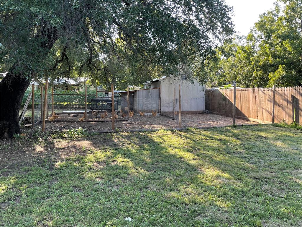 125 Live Oak Street Azle, TX 76020 - Photo 14 of 20 Chickens lay eggs every day