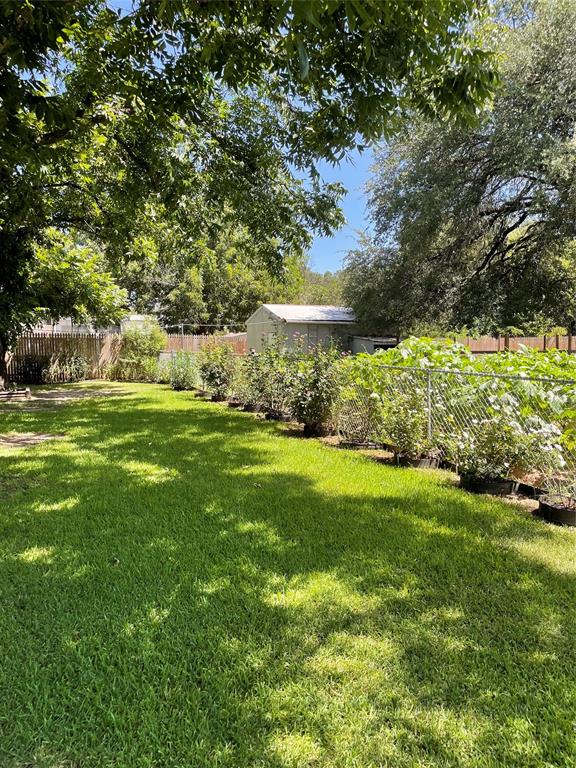 125 Live Oak Street Azle, TX 76020 - Photo 17 of 20 More flowers