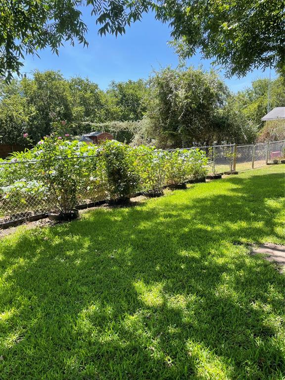 125 Live Oak Street Azle, TX 76020 - Photo 18 of 20 Flowers and vegetables