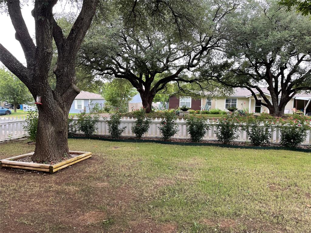 125 Live Oak Street Azle, TX 76020 - Photo 20 of 20 Front yard