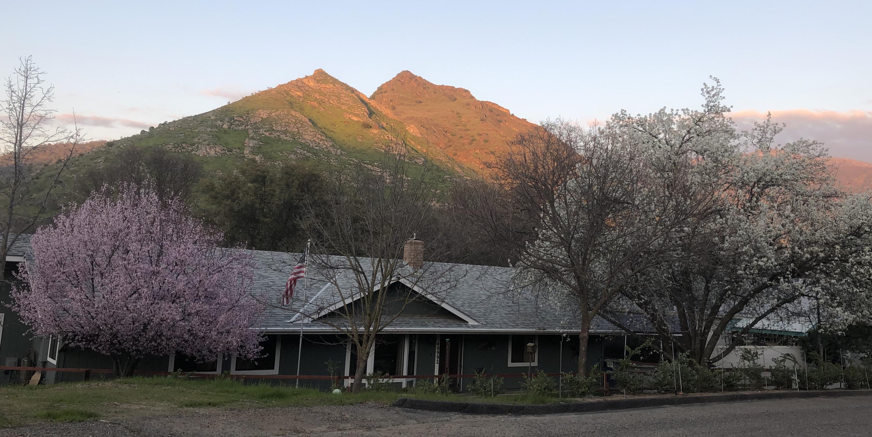 40992 Meadow Drive Three Rivers, CA 93271 - Photo 29 of 29 front view of a house with a yard