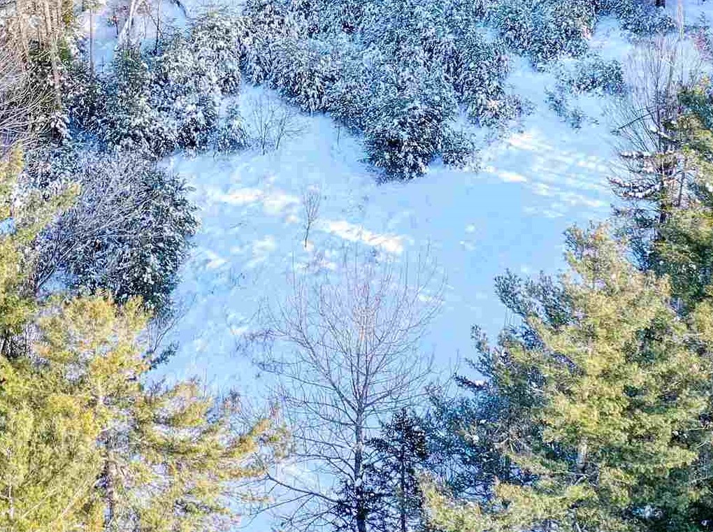 0 Fish Hill Road, Unit 12 Randolph, VT 05060 - Photo 3 of 11