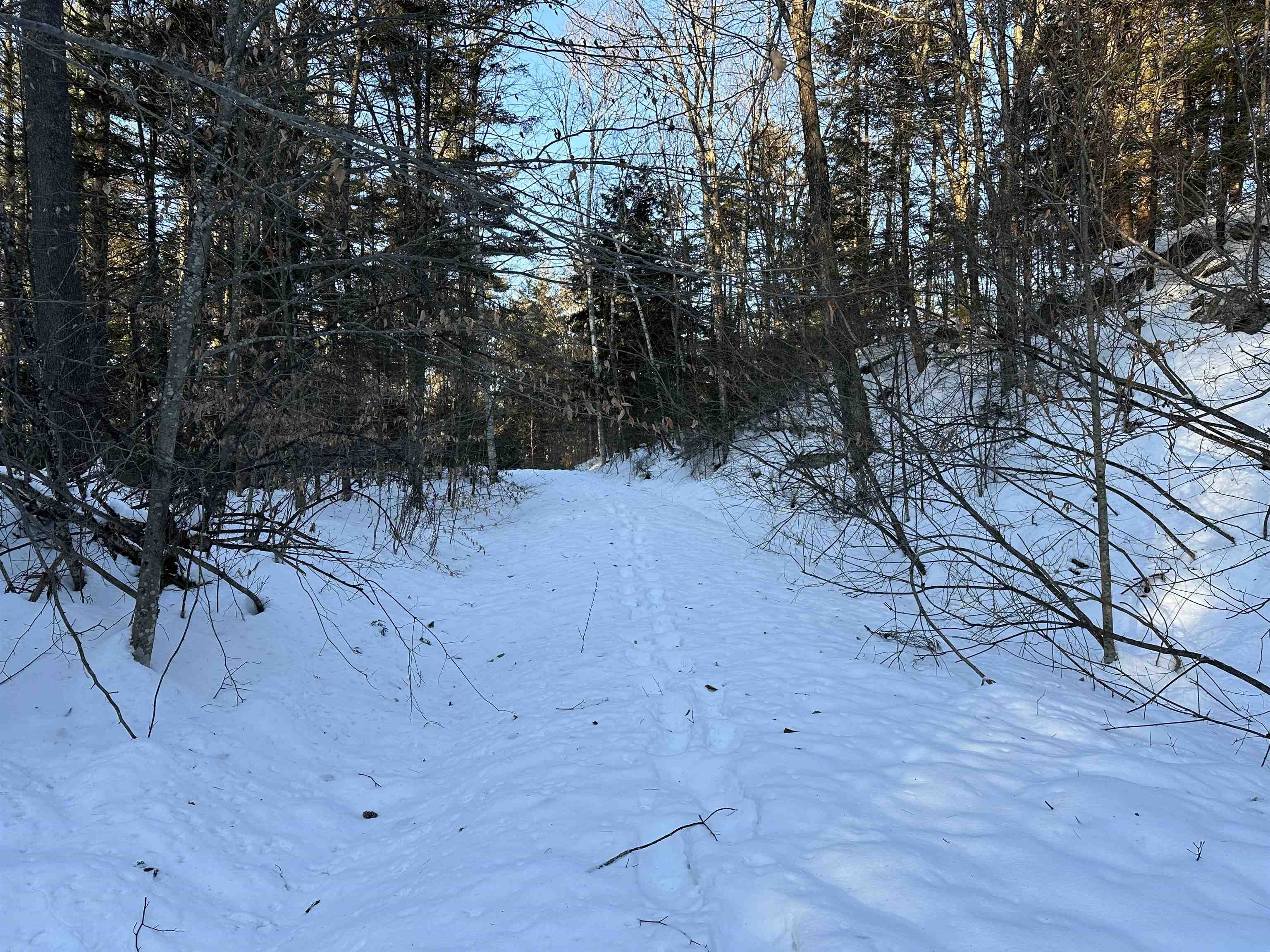 0 Fish Hill Road, Unit 12 Randolph, VT 05060 - Photo 4 of 11