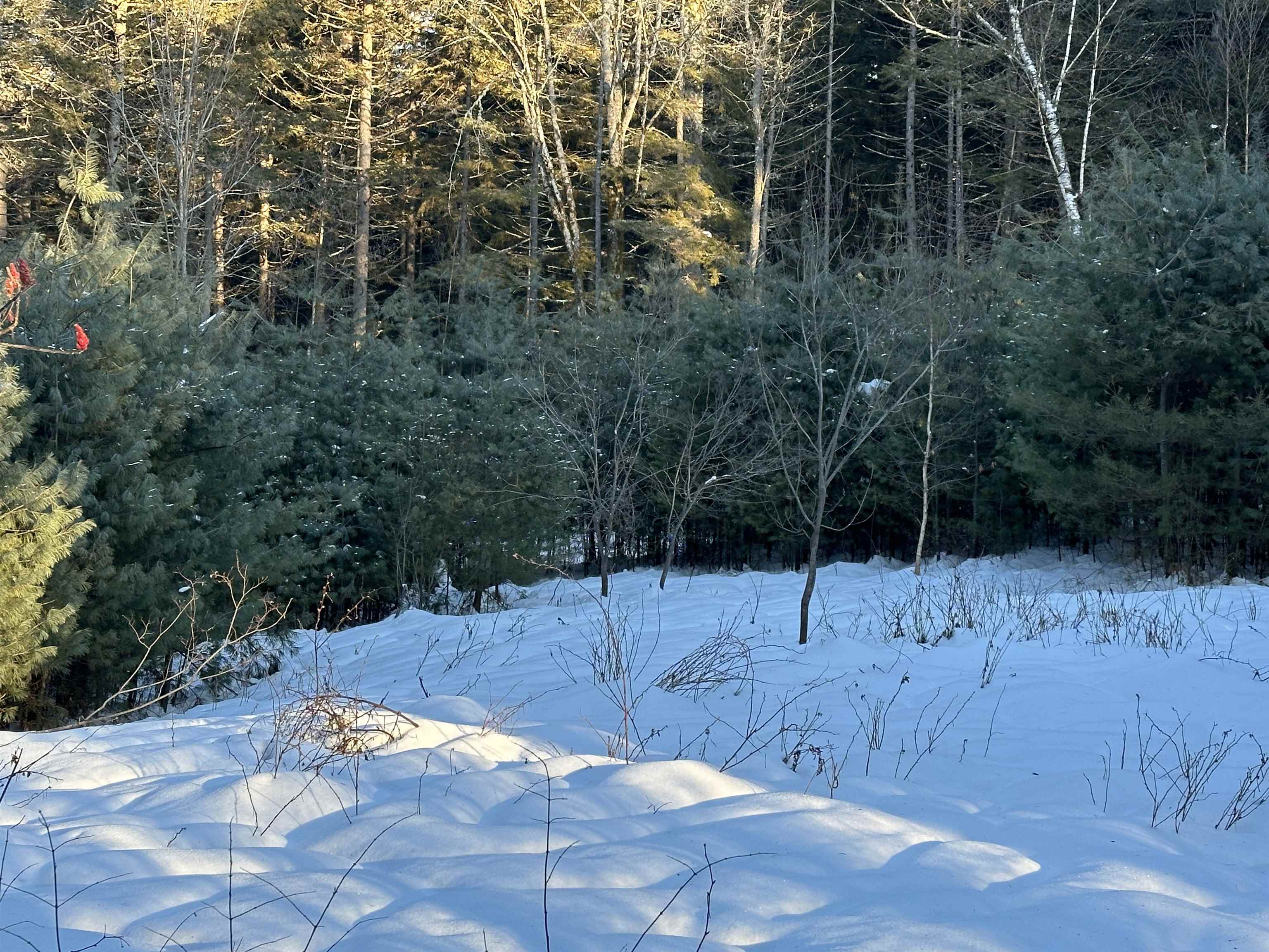 0 Fish Hill Road, Unit 12 Randolph, VT 05060 - Photo 6 of 11