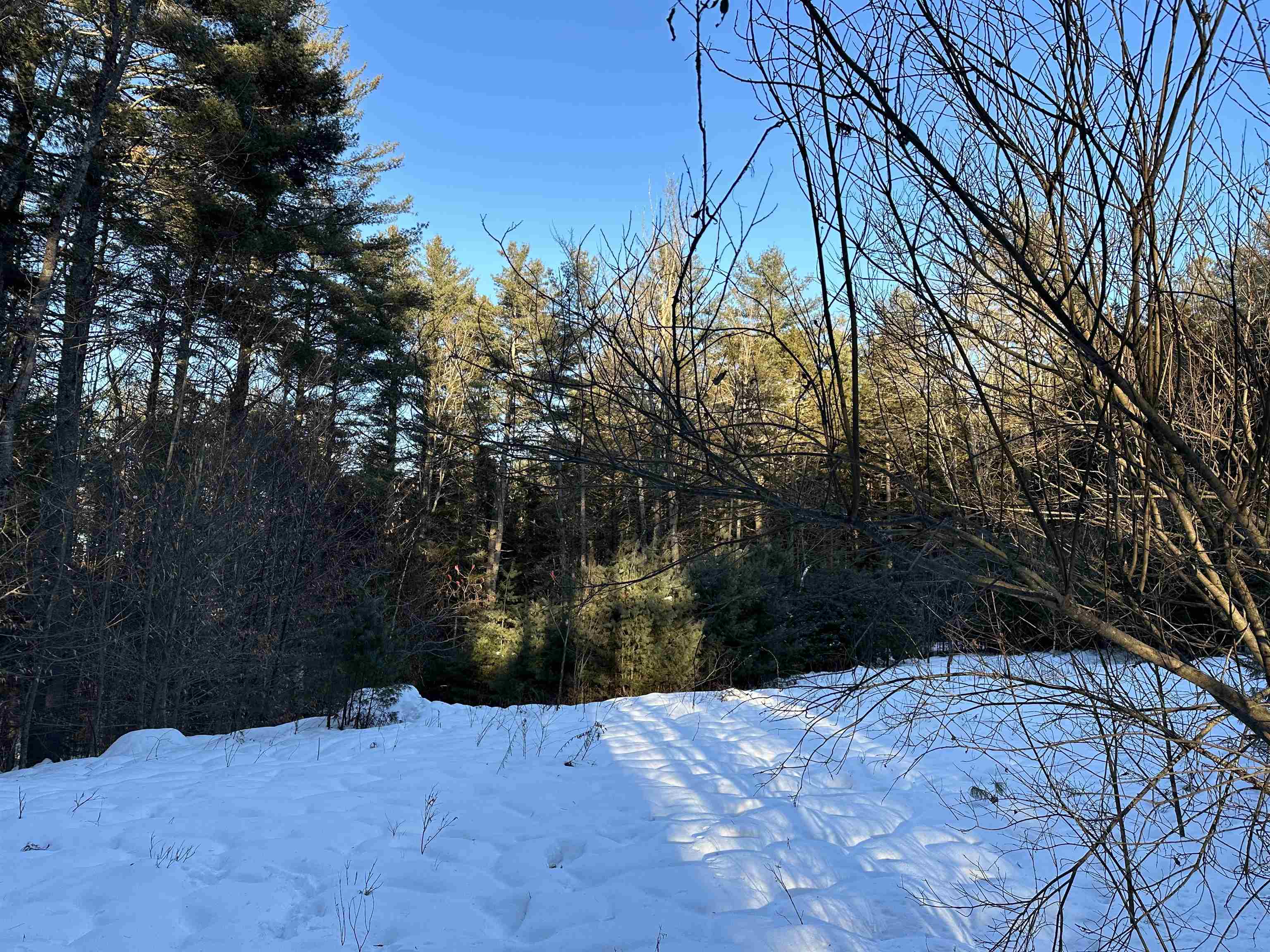 0 Fish Hill Road, Unit 12 Randolph, VT 05060 - Photo 8 of 11