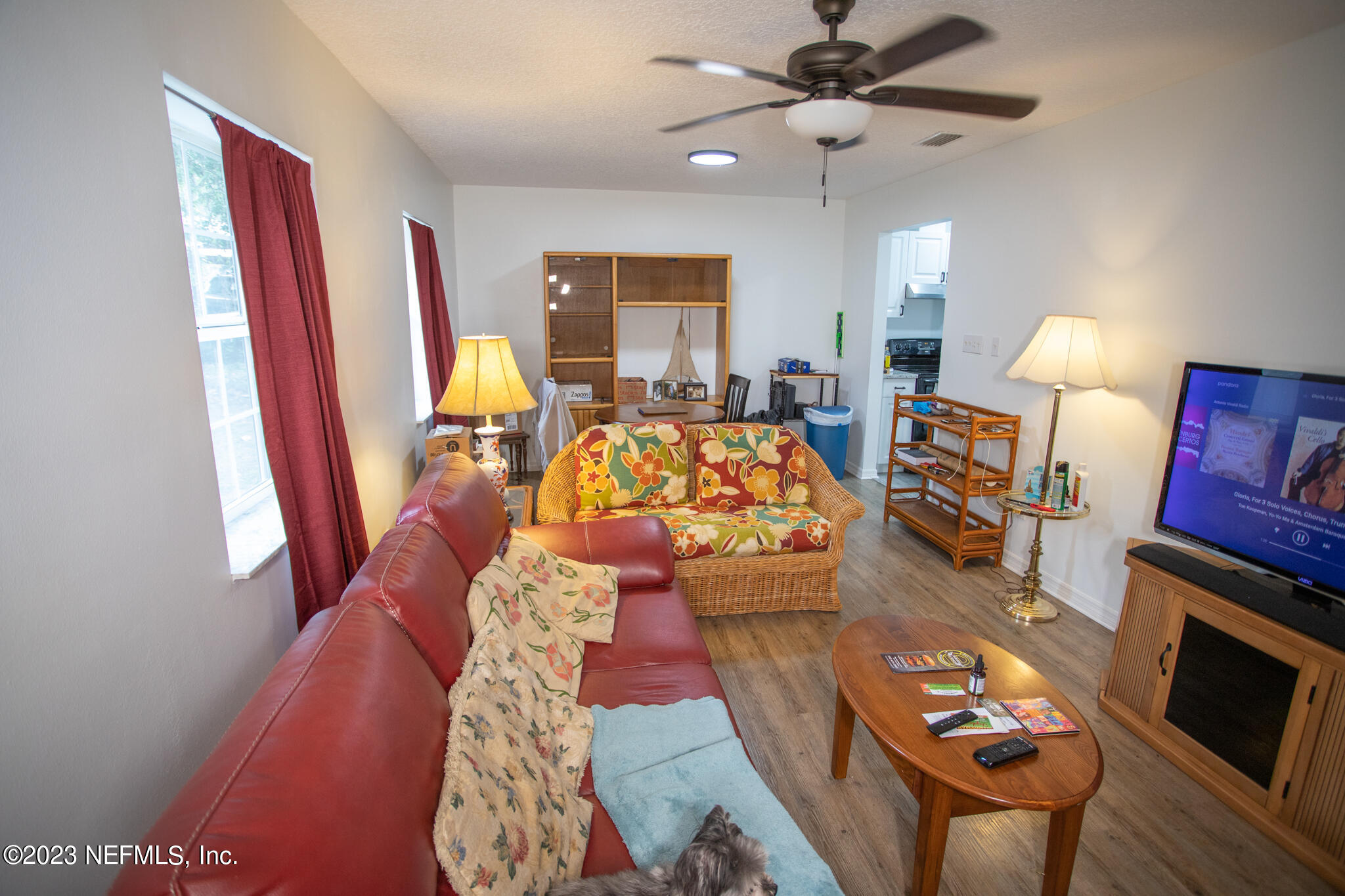 290 Swan Lake Road Melrose, FL 32666 - Photo 6 of 20 IMG_3956