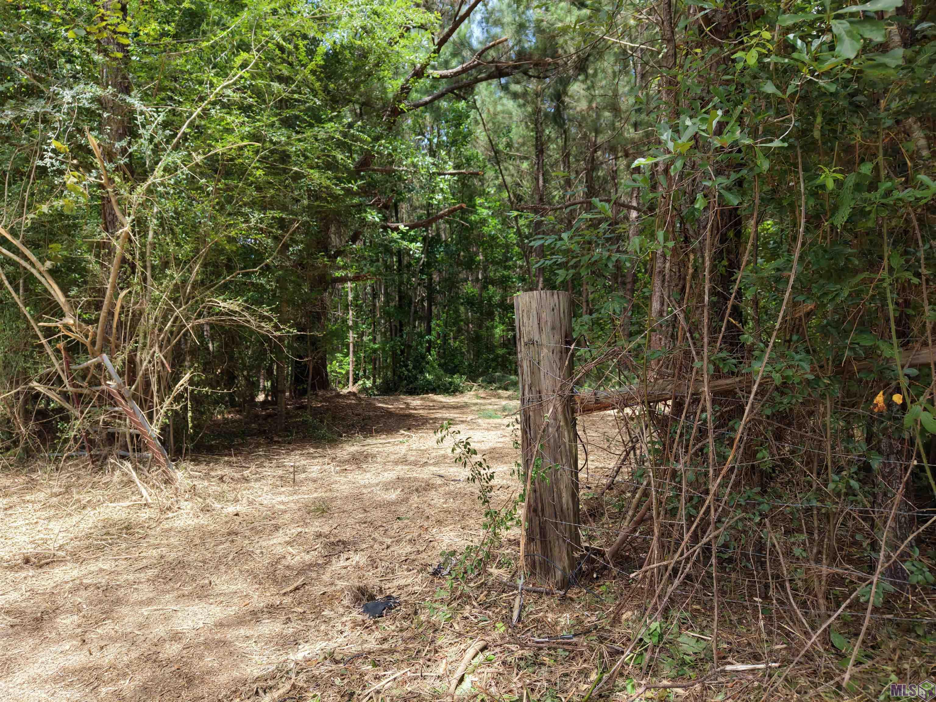 Tract A Jackson Road Amite, LA 70422 - Photo 7 of 10 Gallery Image 7