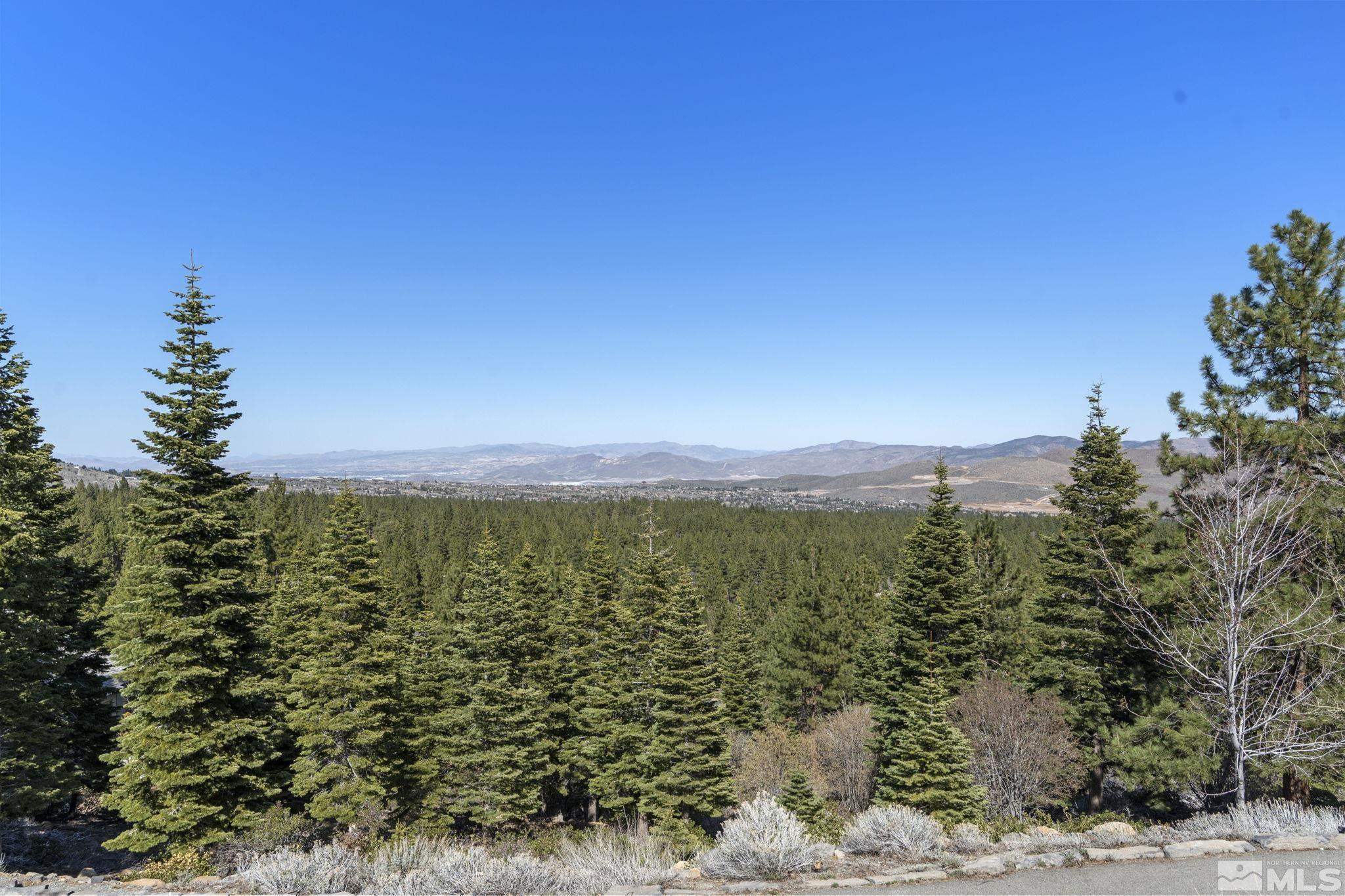 115 West Jeffrey Pine Road Reno, NV 89511 - Photo 4 of 39 Photo 4