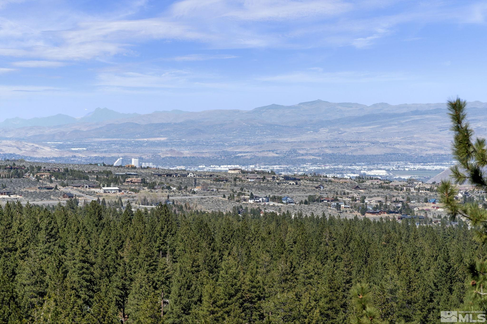 115 West Jeffrey Pine Road Reno, NV 89511 - Photo 5 of 39 Photo 5