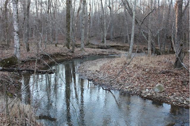 762 Glenn Baker Road Dickson, TN 37055 - Photo 17 of 20 Beautiful Yellow Creek runs through this property.