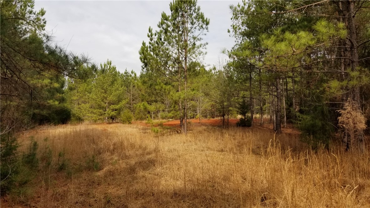 0 Fairs Road Abbeville, SC 29620 - Photo 1 of 8