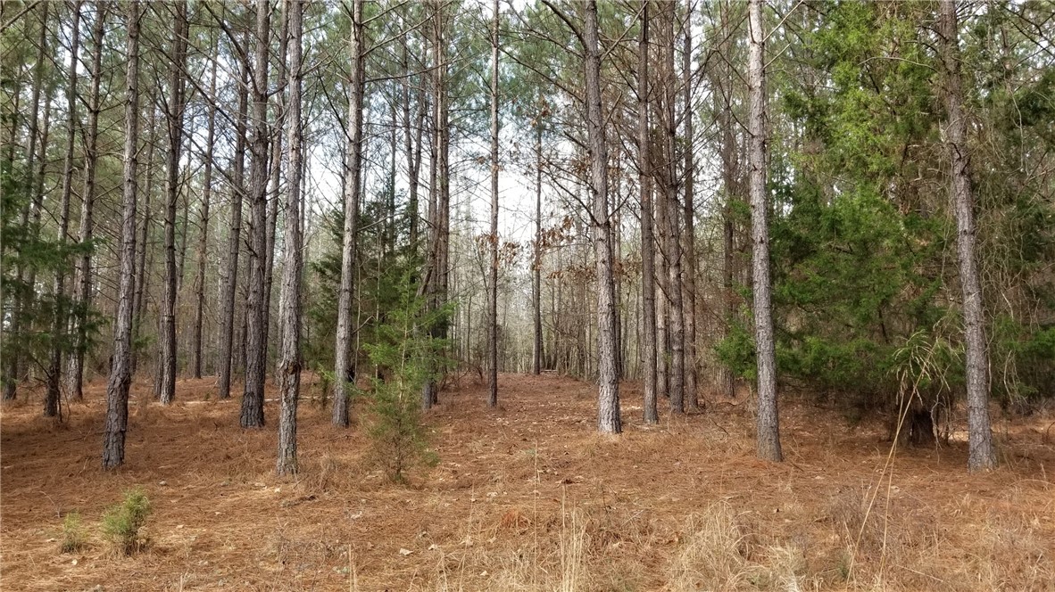 0 Fairs Road Abbeville, SC 29620 - Photo 2 of 8