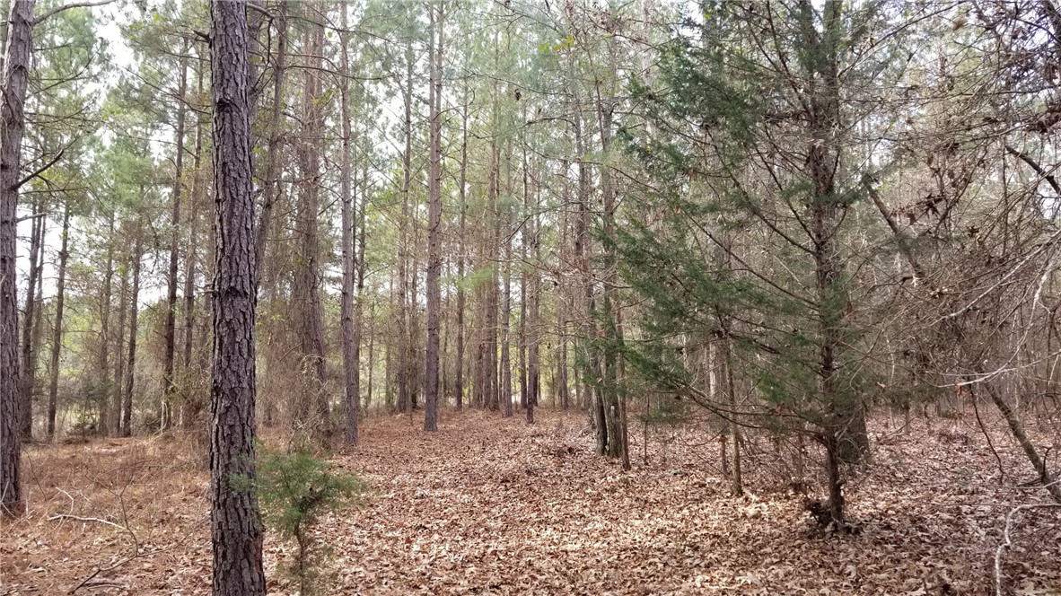 0 Fairs Road Abbeville, SC 29620 - Photo 3 of 8