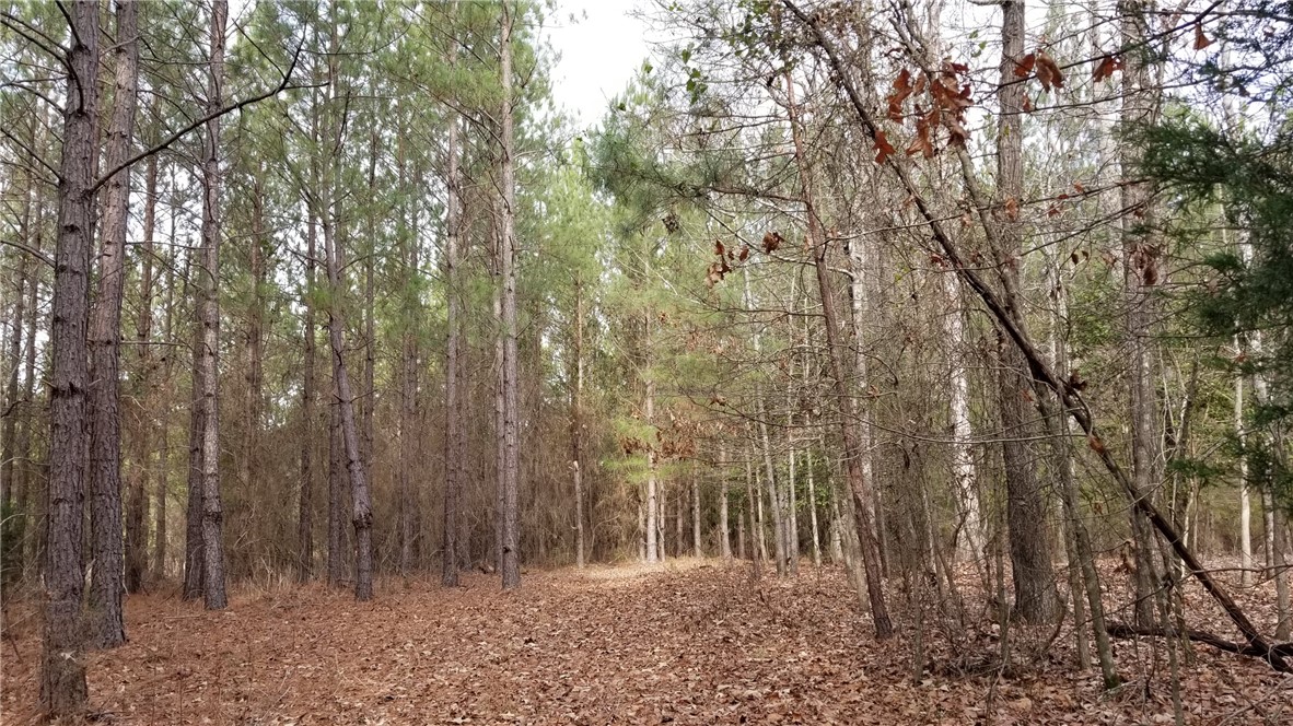 0 Fairs Road Abbeville, SC 29620 - Photo 5 of 8