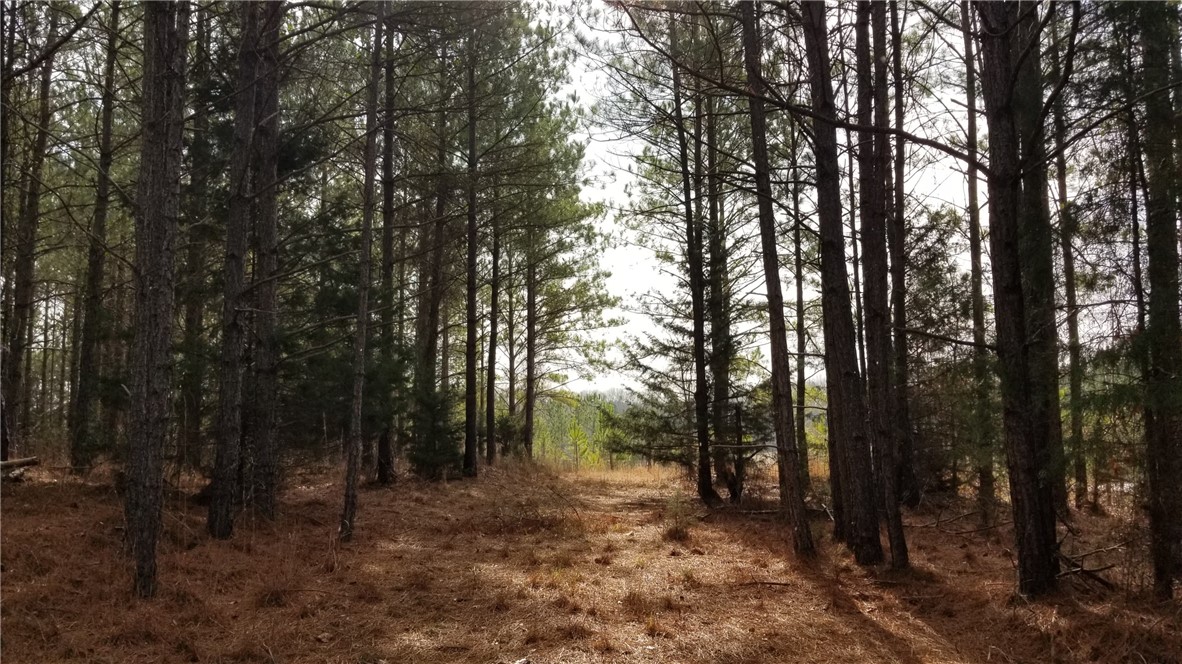 0 Fairs Road Abbeville, SC 29620 - Photo 6 of 8
